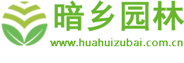 深圳市暗乡花卉商城